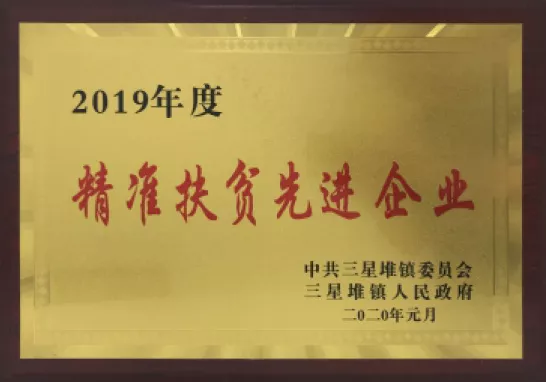 精准扶贫先进企业