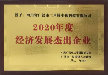 经济发展杰出企业